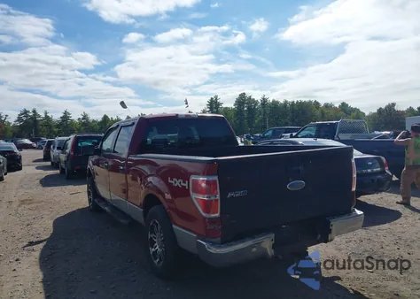 2009 Ford F-150 Fx4/King Ranch/Lariat/Platinum/Xl/Xlt from USA, damaged, VIN 1FTPW14V89FA10892